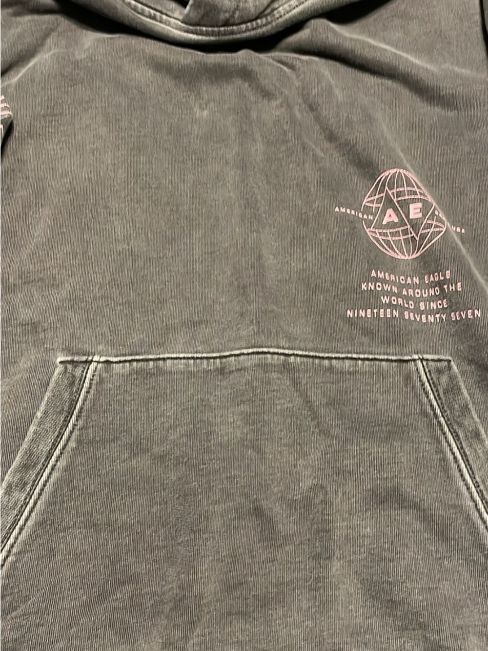 American Eagle Outfitters Gray Hoodie with Pink Globe Logo